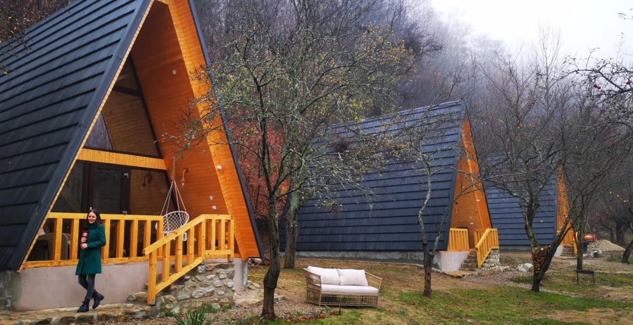 Casa - Cabana Tip A Frame, Cerna, Vaideeni, Valcea Cerna  外观 照片